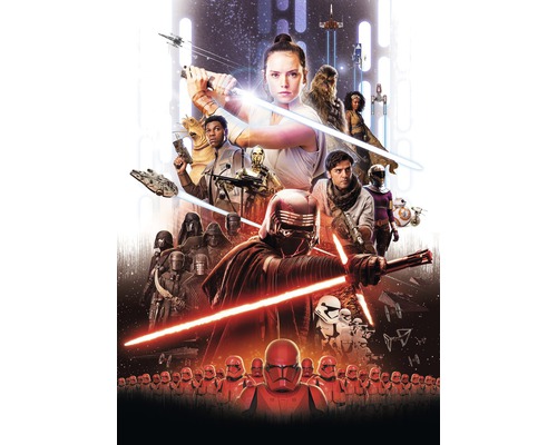inval Lezen Ontwijken KOMAR Fotobehang papier 4-4113 Disney Edition 4 Star Wars EP9 Movie Poster  Rey 184x254 cm kopen! | HORNBACH