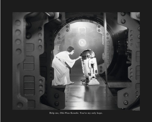 Herstellen Uitscheiden Een centrale tool die een belangrijke rol speelt KOMAR Poster Star Wars Classic Leia R2D2 Quote 50x40 cm kopen! | HORNBACH