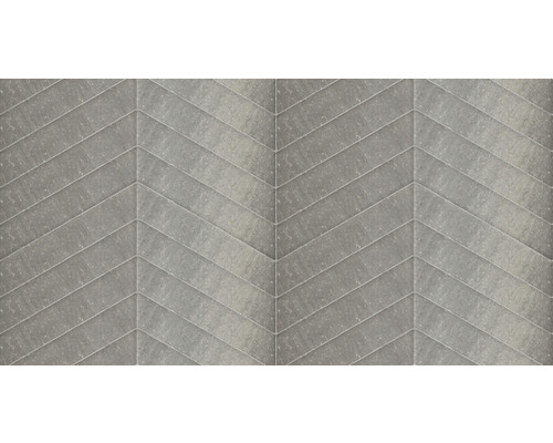 EXCLUTON Straatsteen romano punto grigio 40x8x8 cm