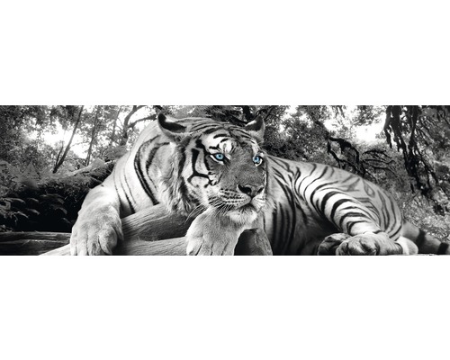 PLANET PICTURES Decopaneel Tiger 90x30 cm