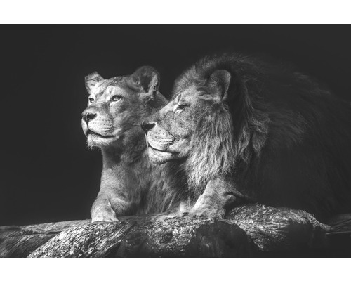 THE WALL Schilderij canvas Lion Couple 150x100 cm