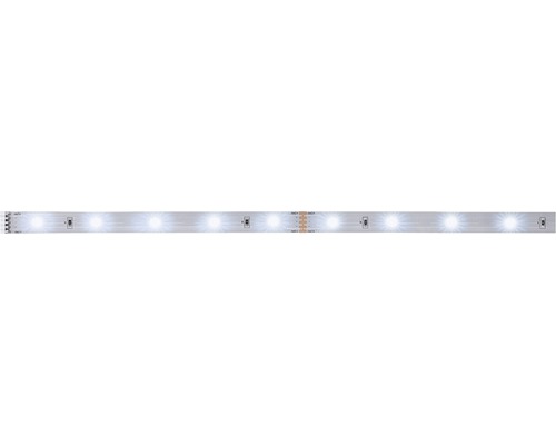 PAULMANN MaxLED 250 LED-strip daglichtwit 100 cm zilver ongecoat