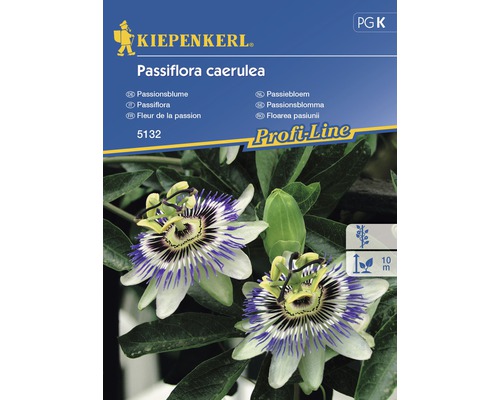 KIEPENKERL Passiflora caerulea
