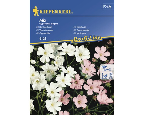 KIEPENKERL Gypsophila kix
