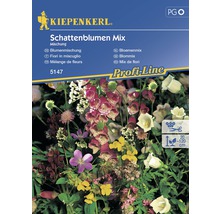 KIEPENKERL Schaduwbloemen mix-thumb-0