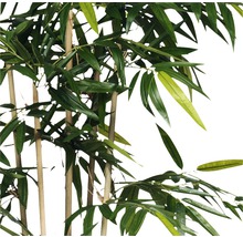 Kunstplant Bamboe in pot, hoogte 150, Ø 75 cm, groen-thumb-1