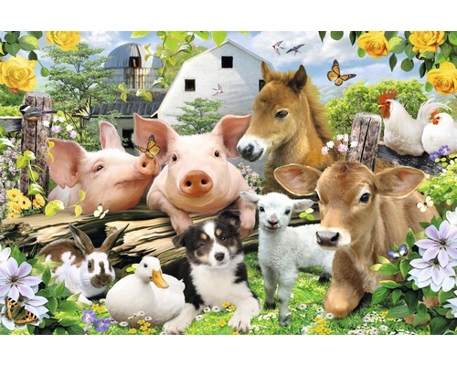 REINDERS Poster Farm Animals 61x91,5 cm kopen! | HORNBACH