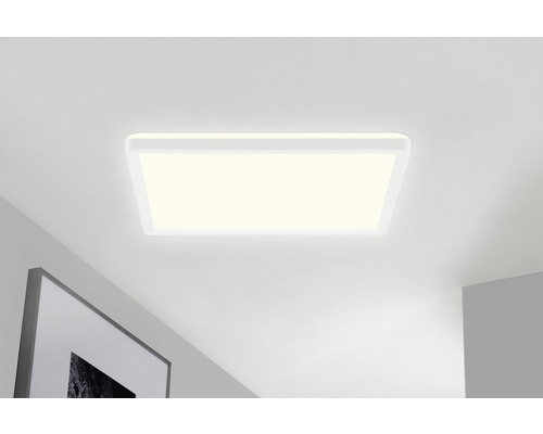 BRILONER LED-paneel 7082-016 met backlight 42x42 cm CCT wit