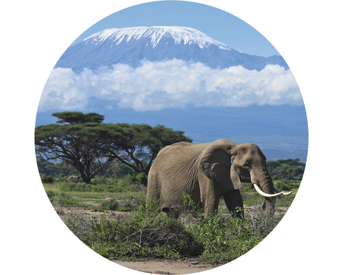 SPECIAL DECORATION Fotobehang vlies Kilimanjaro Olifant ø 95 cm