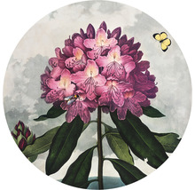 SPECIAL DECORATION Fotobehang vlies Thornton Rhododendron ø 142,5 cm-thumb-0