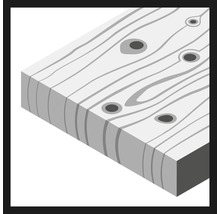 BOSCH Schuurblad C420 Standard for Wood and Paint 230x280 mm K60, 50 stuks-thumb-3