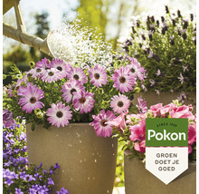 POKON Terras & Balkon Planten wateroplosbare voeding 500 g-thumb-3