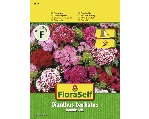 FLORASELF Dianthus barbatus bont mix