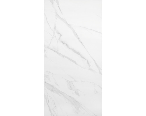 Wand- en vloertegel Calacatta polished 120x60 cm gerectificeerd-0