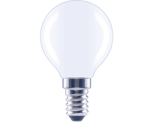 Brig Een evenement Maria FLAIR LED lamp E14/2W G45 warmwit mat kopen! | HORNBACH