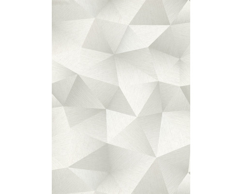 Het beste Opa Geologie ERISMANN Vliesbehang 10216-31 Fashion for Walls III geometrisch grijs  kopen! | HORNBACH