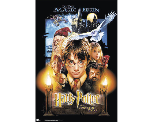 comfort methodologie Onbevreesd REINDERS Poster Harry Potter and the Sorcerer's Stone 61x91,5 cm kopen! |  HORNBACH