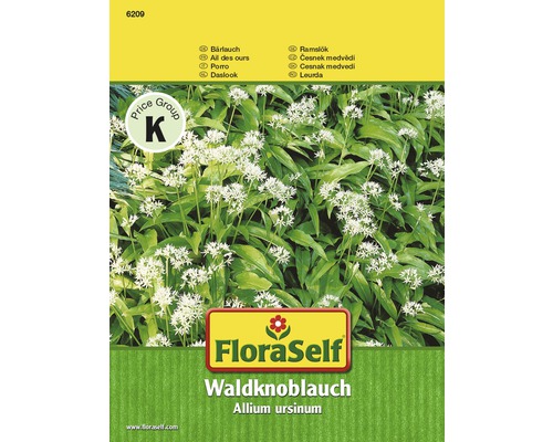 FLORASELF® Bosknoflook Allium Ursinum groentezaden