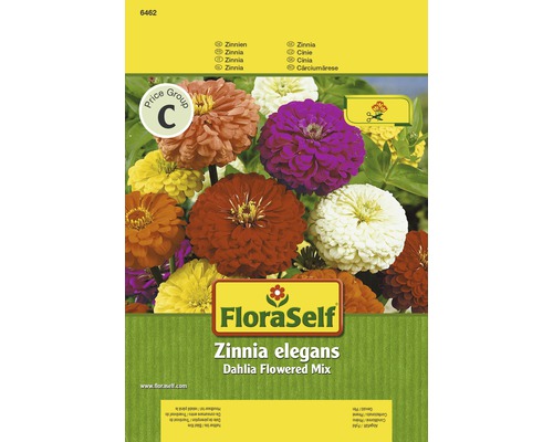 FLORASELF® Zinnia dahlia Zinnia elegans bloemenzaden