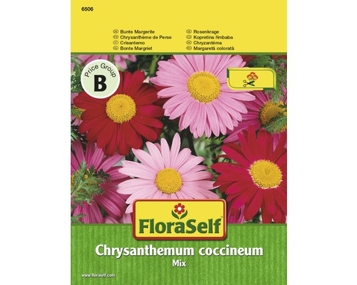 FLORASELF® Margrieten Chrysanthemum coccineum bloemenzaden