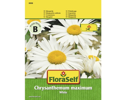 FLORASELF® Margrieten wit Chrysanthemum coccineum bloemenzaden