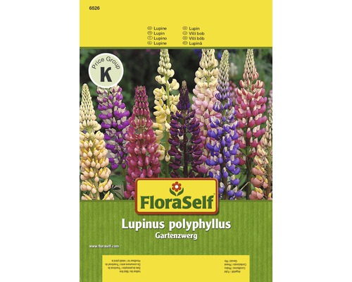 FLORASELF® Lupine tuindwerg Lupinus polyphyllus bloemenzaden
