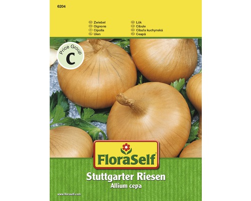 onderwijzen erger maken noorden FLORASELF® Uien Stuttgarter Riesen groentezaden kopen bij HORNBACH