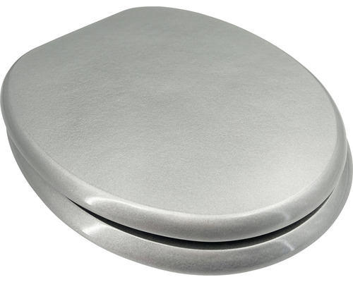 Instituut gloeilamp Gebeurt ADOB Wc-bril Ascoli zilver kopen! | HORNBACH