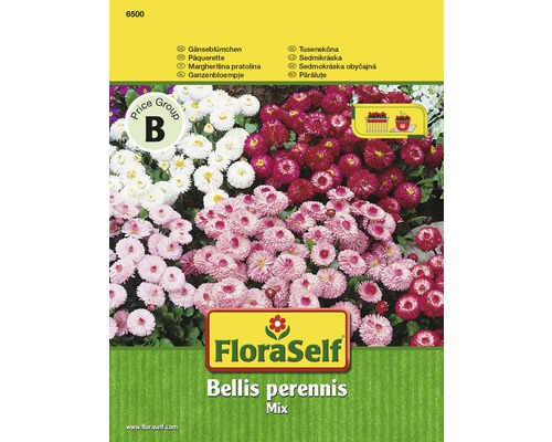Tussen Belonend Elektrisch FLORASELF® Madeliefje Bellis perennis bloemenzaden kopen! | HORNBACH