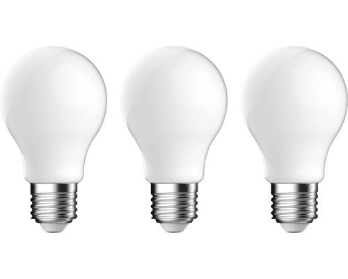 lokaal Kan worden berekend Kolibrie LED lamp E27/7W A60 daglichtwit mat, 3 stuks kopen! | HORNBACH