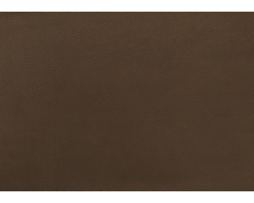 Zich voorstellen Lotsbestemming meten D-C-FIX Kunstleer Noblessa Basic bruin 140 cm breed (van de rol) kopen! |  HORNBACH