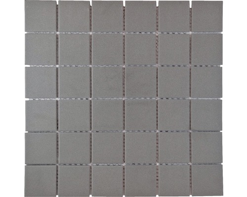 advies welzijn Conciërge Keramisch mozaïek donkergrijs 30,6 x 30,60 cm antislip kopen bij HORNBACH