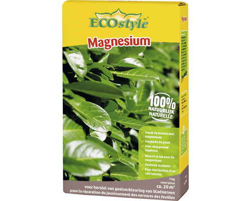 ECOSTYLE Magnesium 1kg