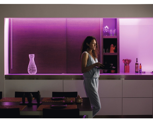 traagheid Sluier vat PHILIPS Hue White and Color Ambiance LED-strip Lightstrip Plus V4  verlengstrip, 1 m kopen! | HORNBACH