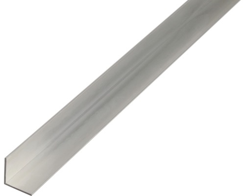 String string onderdak tand KAISERTHAL Hoekprofiel 40x40x2 mm aluminium zilver 200 cm kopen bij HORNBACH