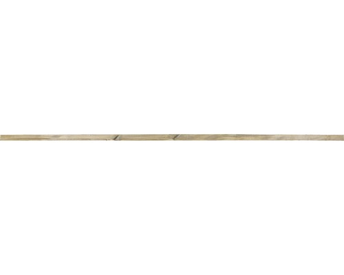 Plank onder keteldruk geïmpregneerd 2,1x4,5x250 cm