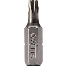 WITTE Bit Stainless ¼" 25 mm Torx T 15-thumb-0