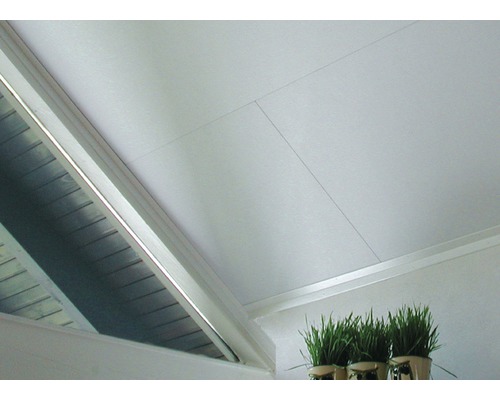 bijkeuken deugd Druif Coverboard plafondplaat Stucco wit 1290 x 620 x 10 mm kopen! | HORNBACH