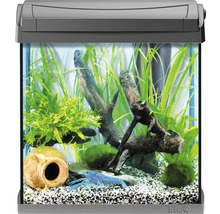 Strikt Meestal vergeven TETRA Aquarium AquaArt LED antraciet 30 L, 39x26x43 cm kopen! | HORNBACH