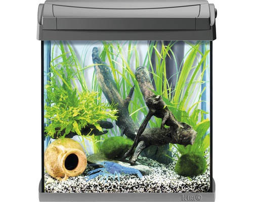 wetenschapper inzet Storing TETRA Aquarium AquaArt LED antraciet 30 L, 39x26x43 cm kopen! | HORNBACH
