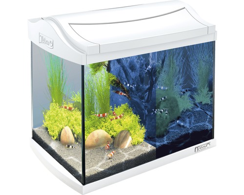 plannen weggooien Fjord TETRA Aquarium AquaArt LED wit 20 L, 39x26x34 cm kopen! | HORNBACH