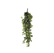 Kunstplant Syngonium, groen lengte 80 cm-thumb-0