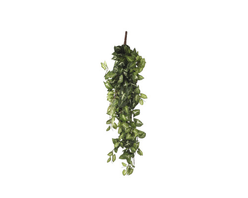 Kunstplant Syngonium, groen lengte 80 cm-0