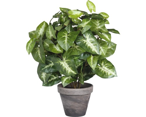 Kunstplant Syngonium hoogte 35 cm, Ø 25 cm, groen