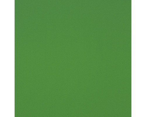 GUTTAGLIS® Kunststofplaat Hobbycolor groen 500 x 1000 x 3,0 mm