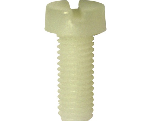 DRESSELHAUS Cilinderschroef 6x20 mm DIN 84 polyamide, 50 stuks