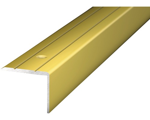 PRINZ Trapprofiel 24,5x20 mm aluminium goud 270 cm