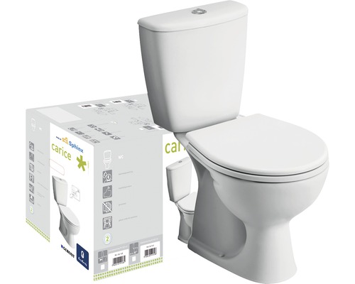 Pidgin Bouwen op Pathologisch SPHINX Staand toilet met reservoir PK uitgang Carice incl. wc-bril kopen  bij HORNBACH