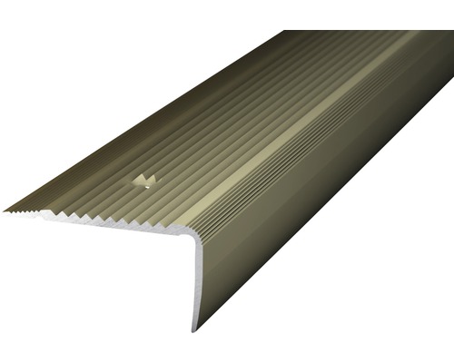 PRINZ Trapprofiel 45x23 mm aluminium RVS 100 cm