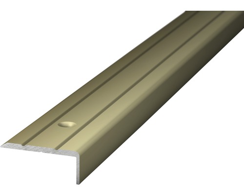 PRINZ Trapprofiel 24,5x10 mm aluminium RVS 100 cm